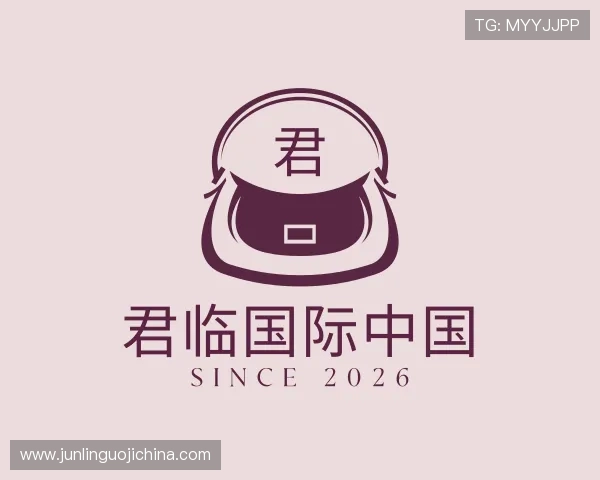 关于君临国际中国